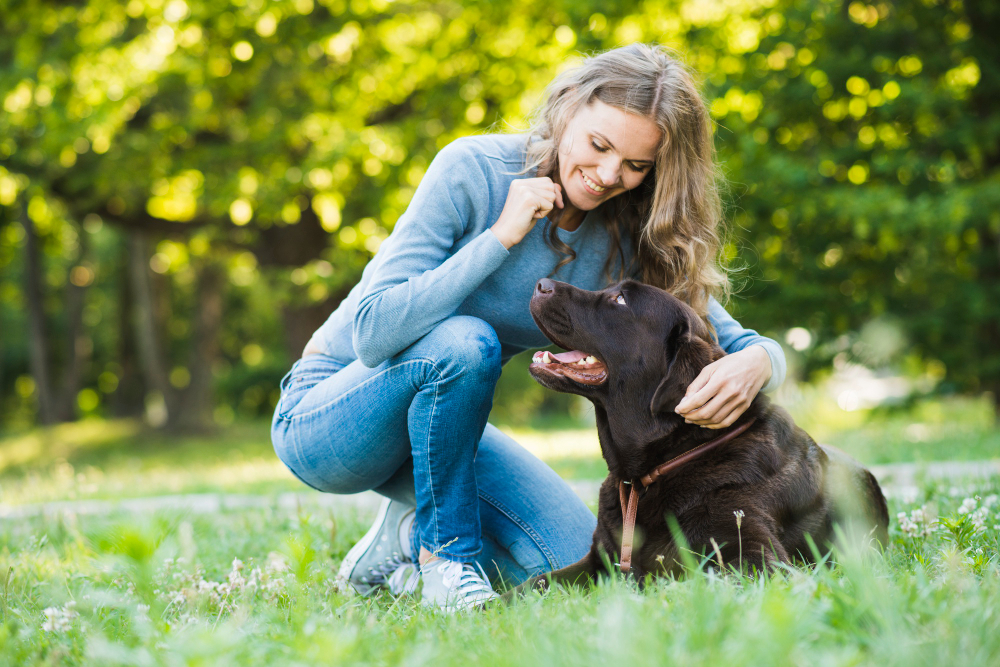 simple dog training commands