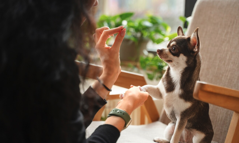 your job is to prevent accidents