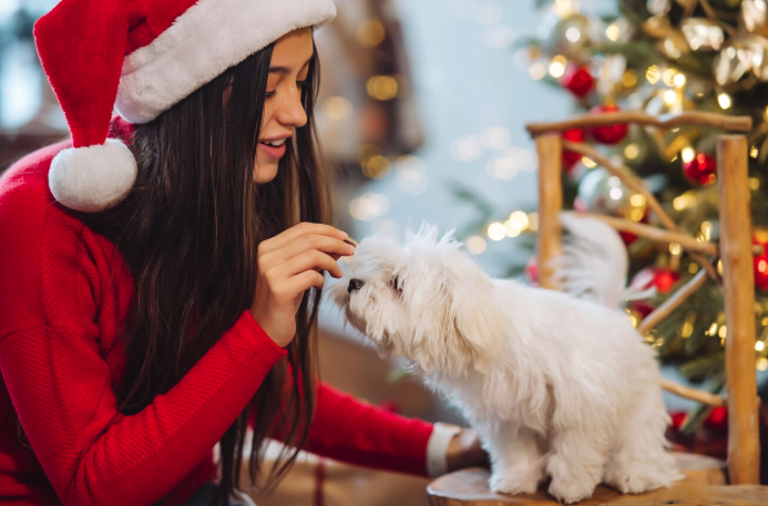 Dog-Safe Holiday - PawrPose