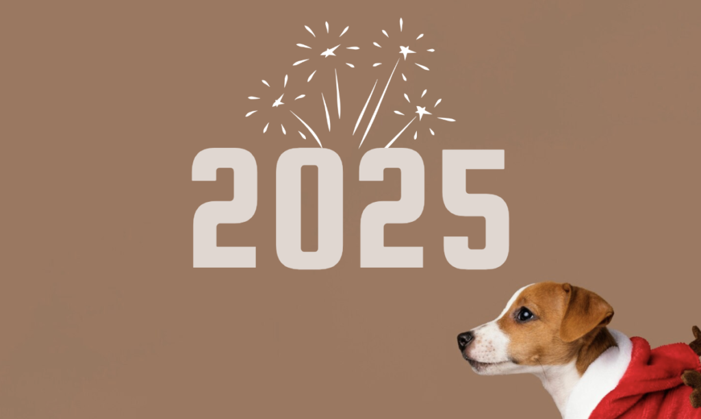 2025