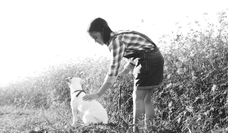 Animal Shelter - PawrPose