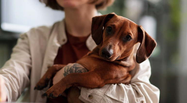 Pet owner holding her dog, showing trust and the benefits of dog ownership