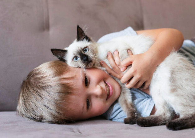 foster family for cats - PawrPose