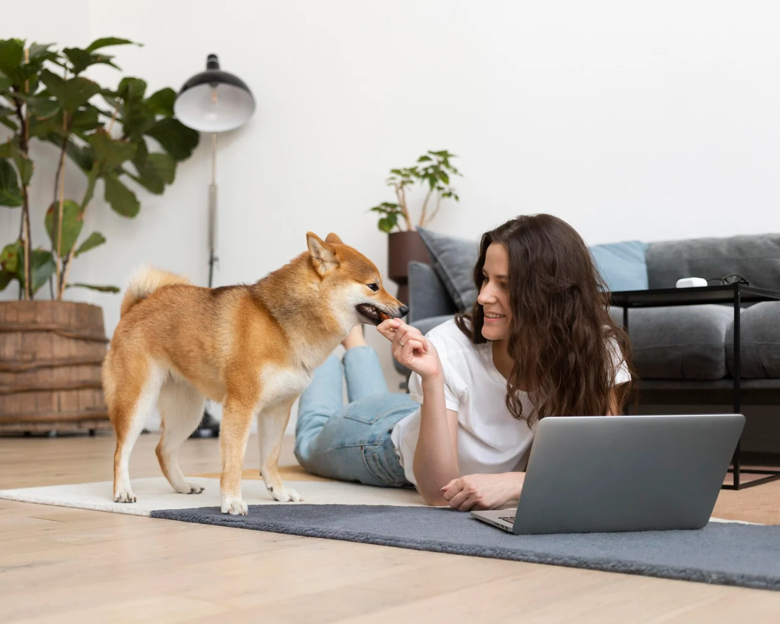 Smart Pet Technologies