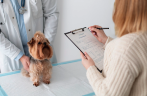 my right vet checking for my pet