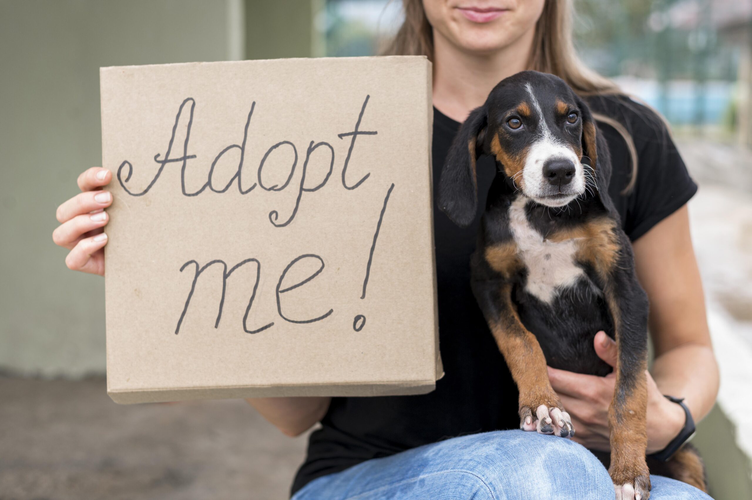 Things You Don’t Know (But Should) Before Adopting a Pet