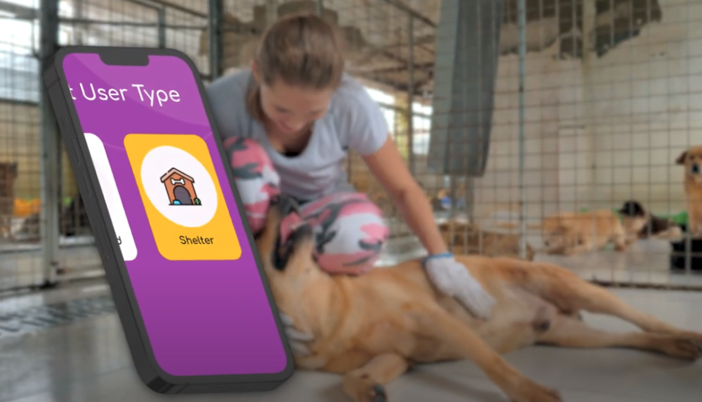 Animal Shelter - Pawrpose