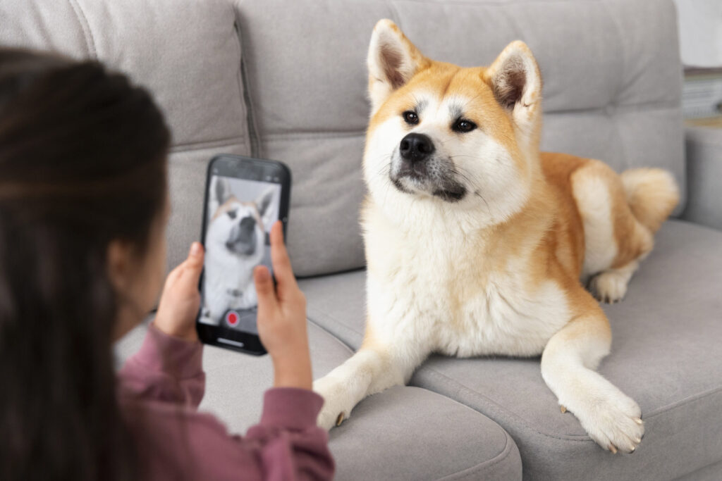 AI-powered pet care solutions analyzing a dog’s mood using photo recognition technology