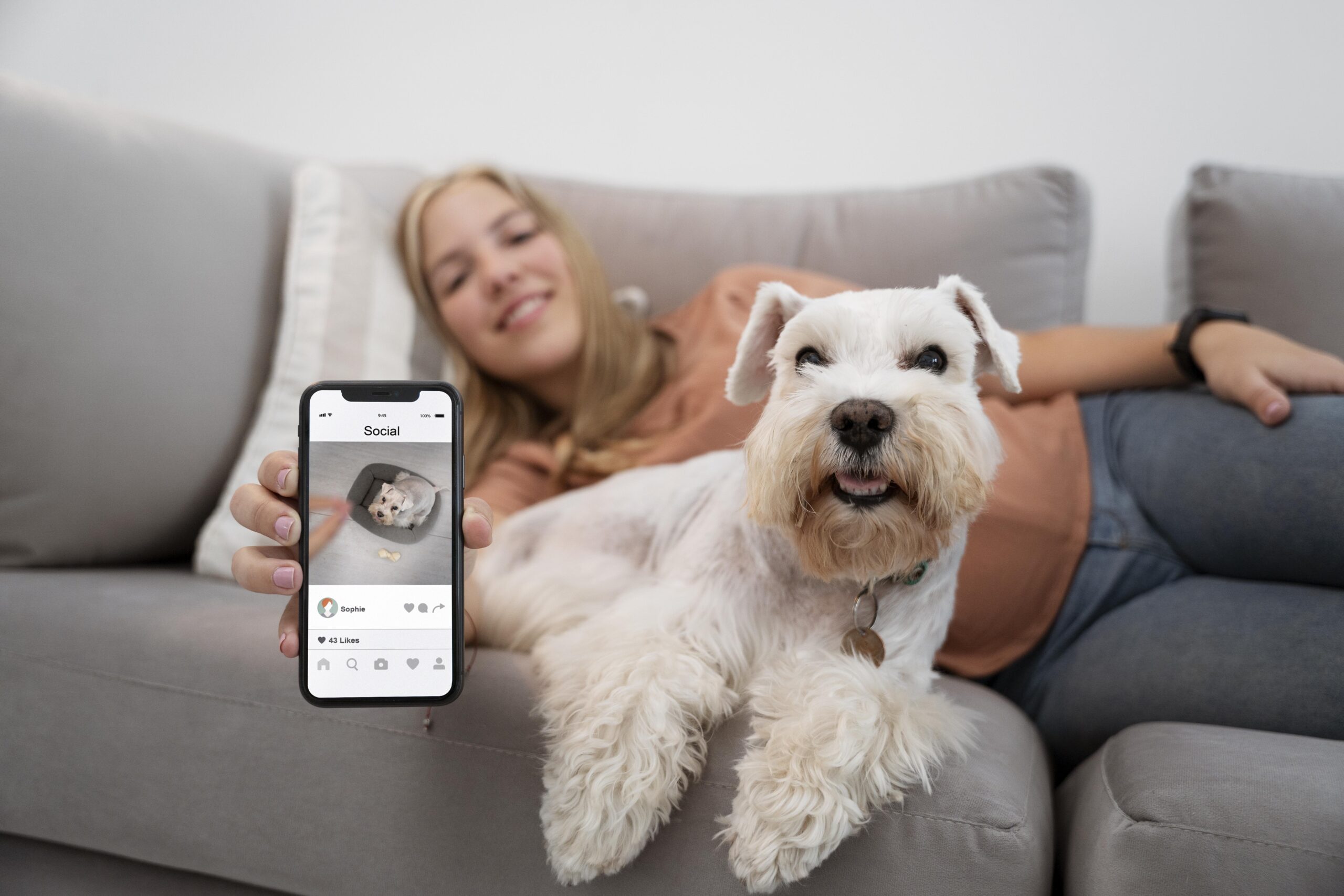 AI for pets smart technology caring for cats and dogs