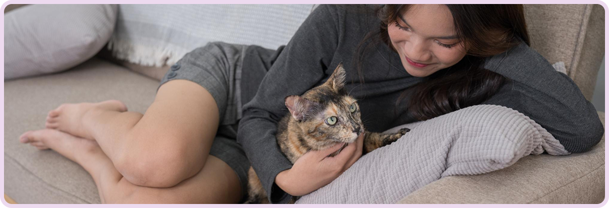 first-time cat owner tips