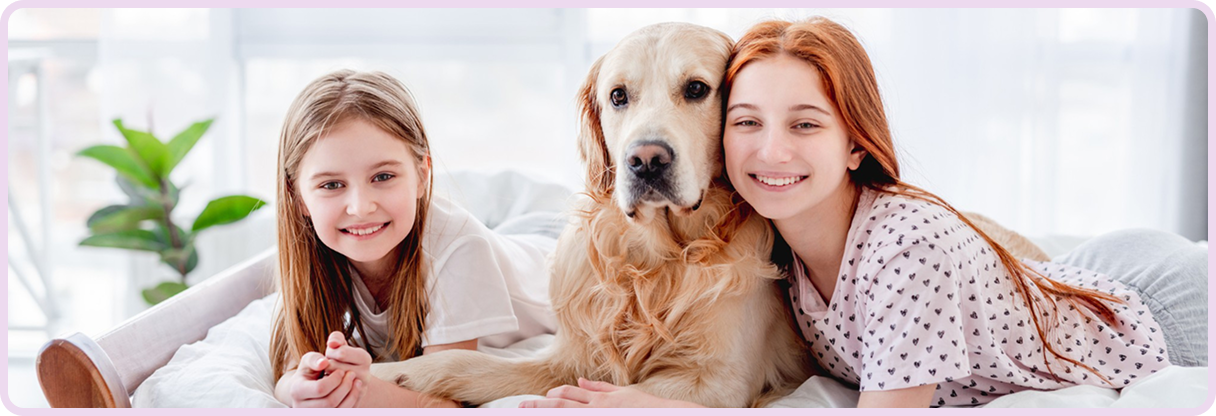 family friendly dog breeds