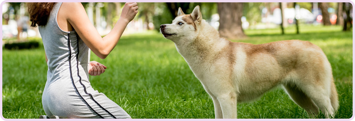 Rescue puppies near me