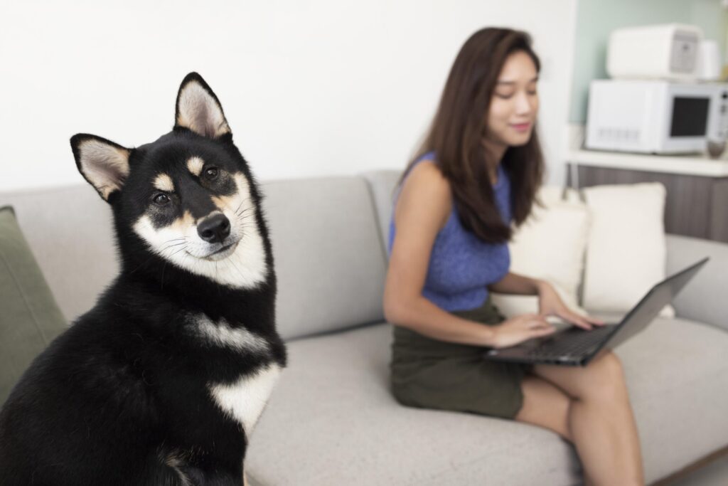 Woman checking AI services pet care while dog looking at the camera.