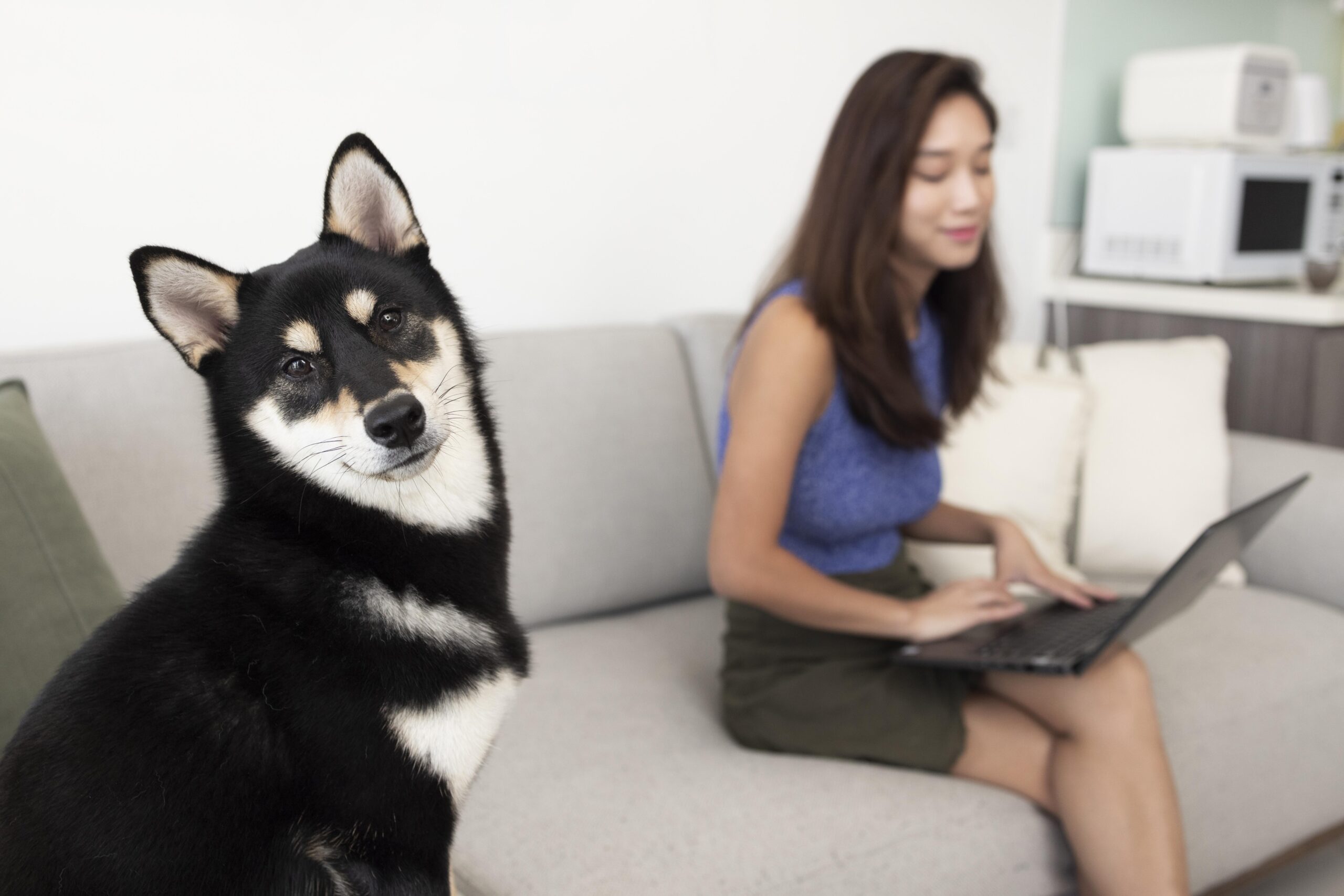 Woman checking AI services pet care while dog looking at the camera.