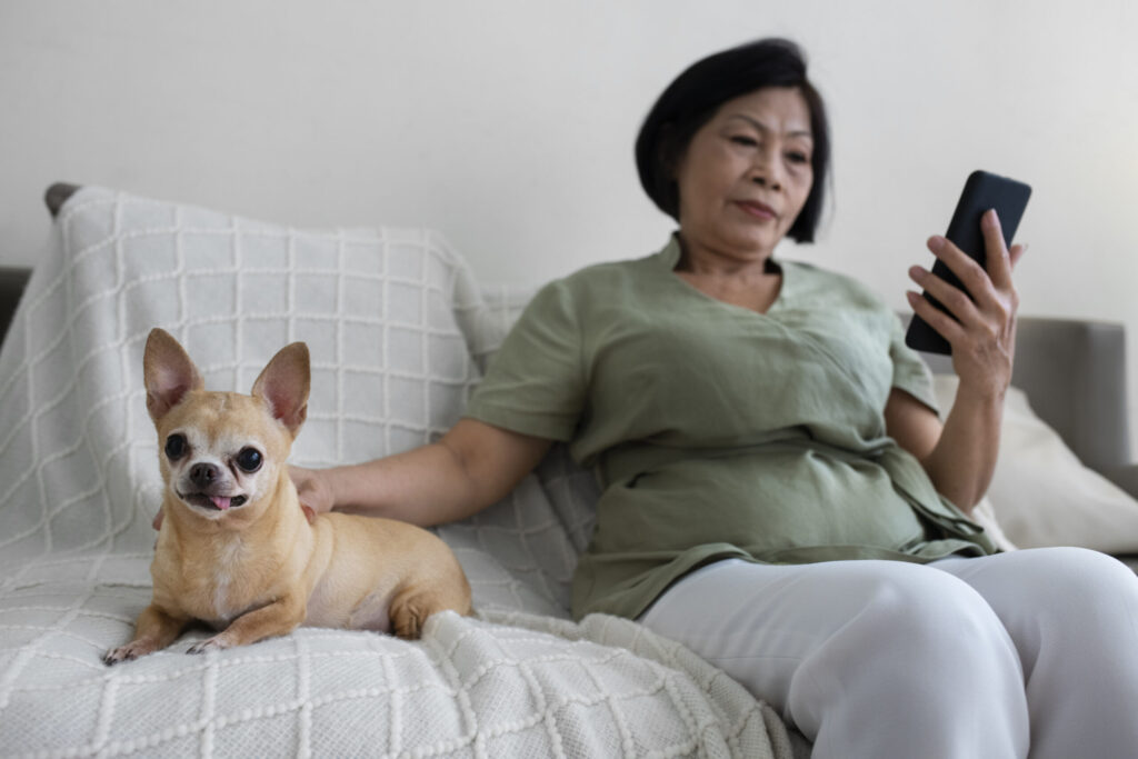 Pet Health Monitoring App showing feeding schedule and mood tracking.