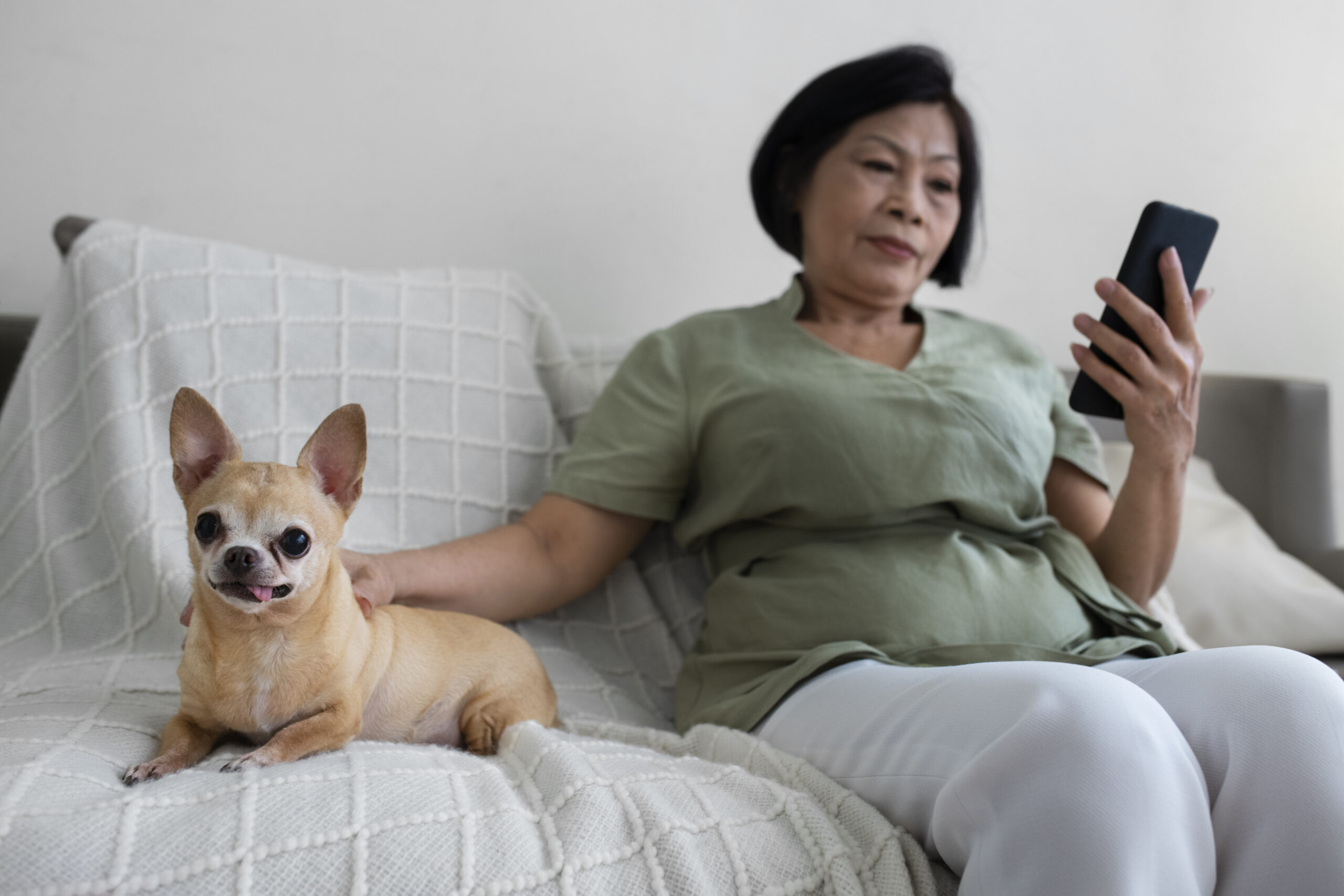 Pet Health Monitoring App showing feeding schedule and mood tracking.