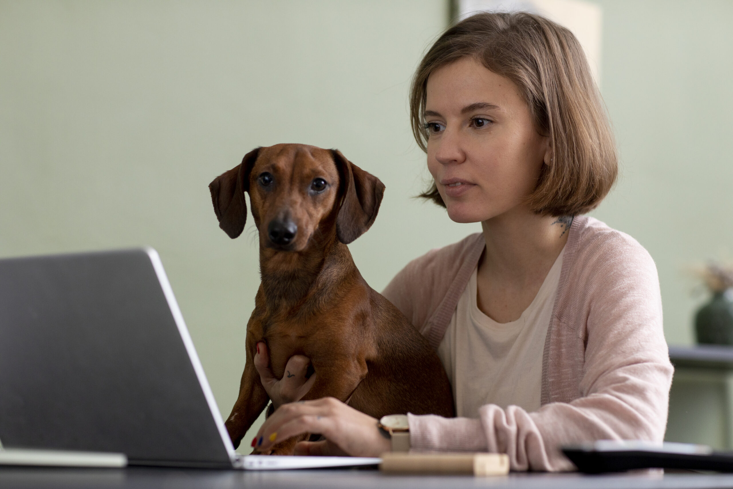 Anxious dog watching the computer screen – Pet Behaviour Analysis by Pawrpose