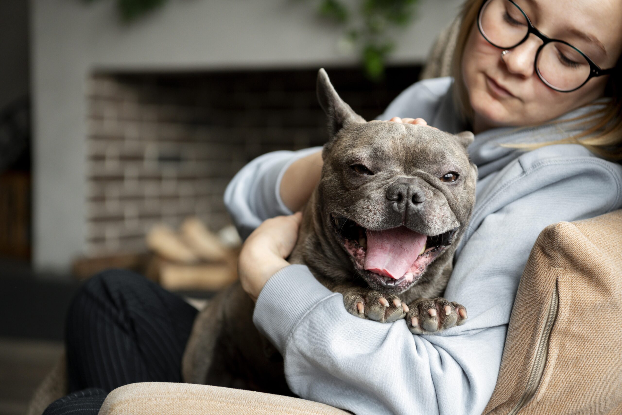 Happy dog showing affection and being relaxed body language
