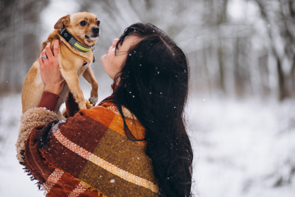 Dog year to Human Years 
